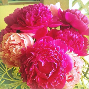 Screen shot 2015-04-07 at 9.11.54 PM