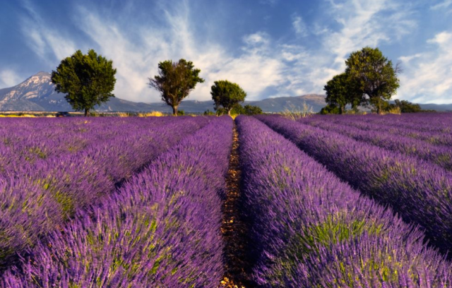 Screen shot 2015-07-05 at 10.39.09 PM