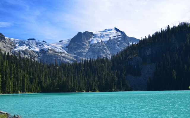 Screen shot 2015-07-28 at 9.54.07 PM