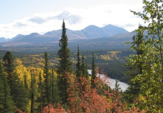 Screen shot 2015-07-28 at 9.57.25 PM