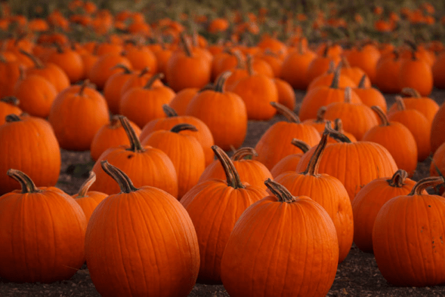 Screen shot 2015-10-26 at 8.42.17 PM